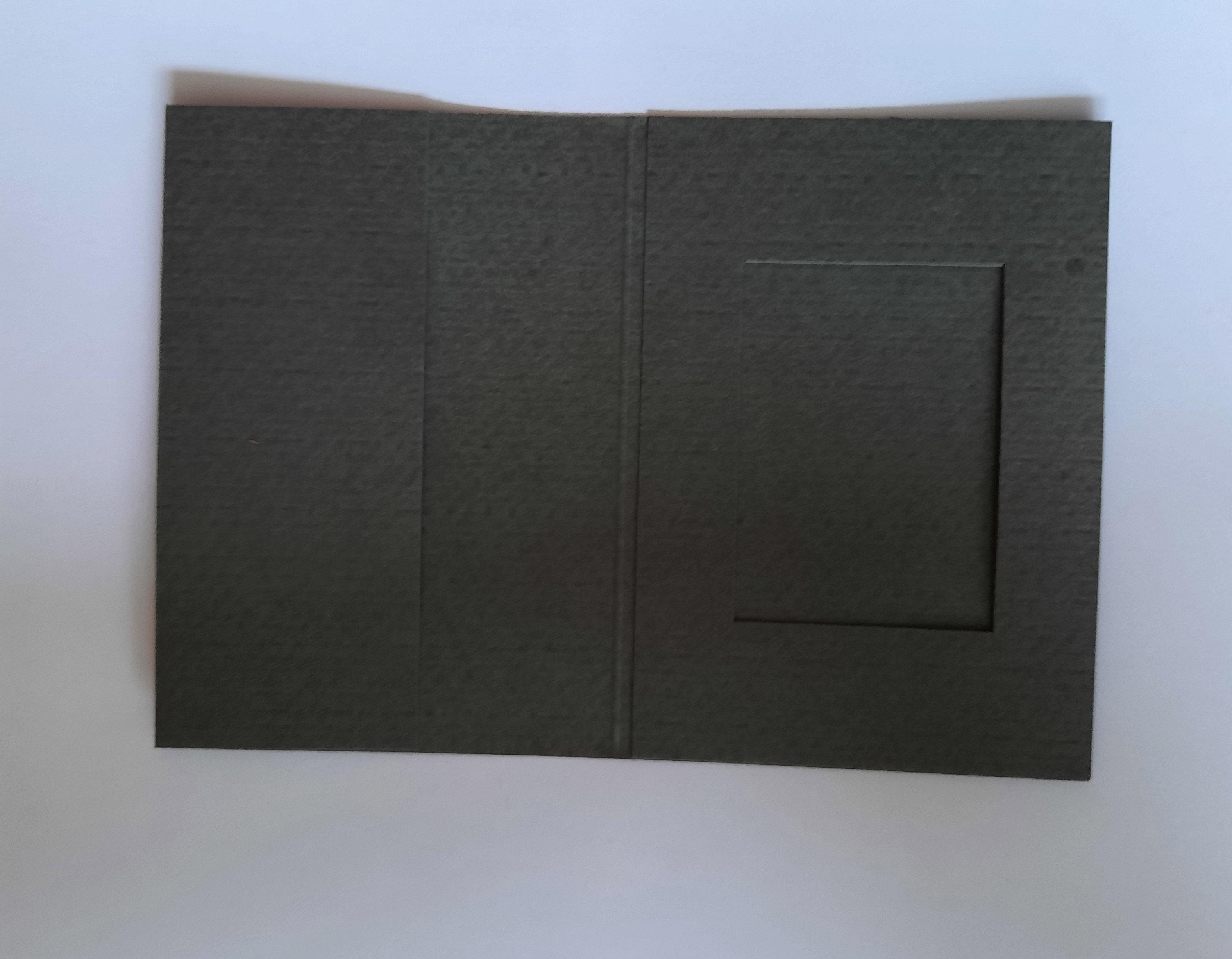 Bild3PBMTP35GR1 Passbildmappe Bildausschnitt 35x45 Lagerware -Auslaufartikel-